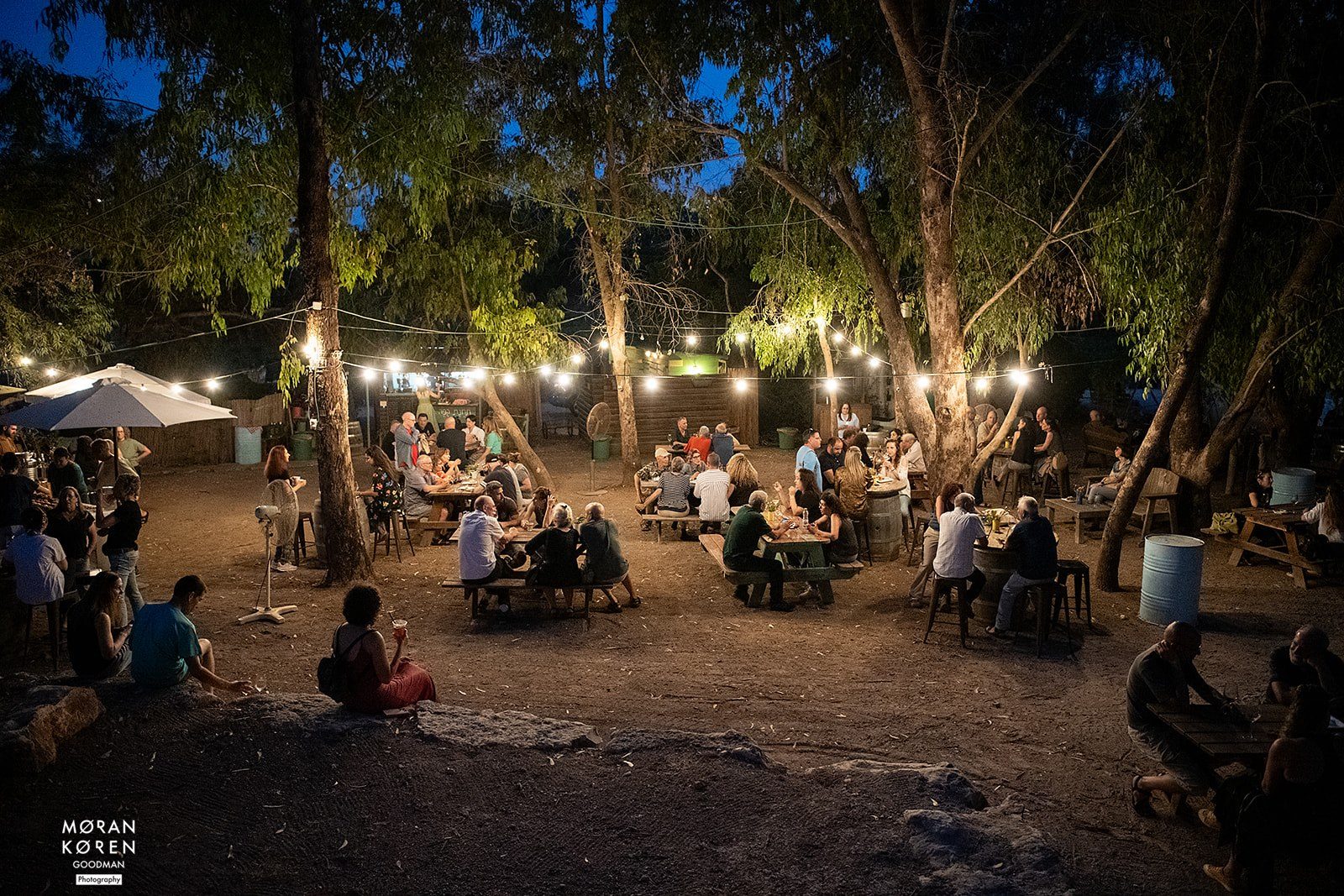 קולנוע בין הכרמים — תמונה 9