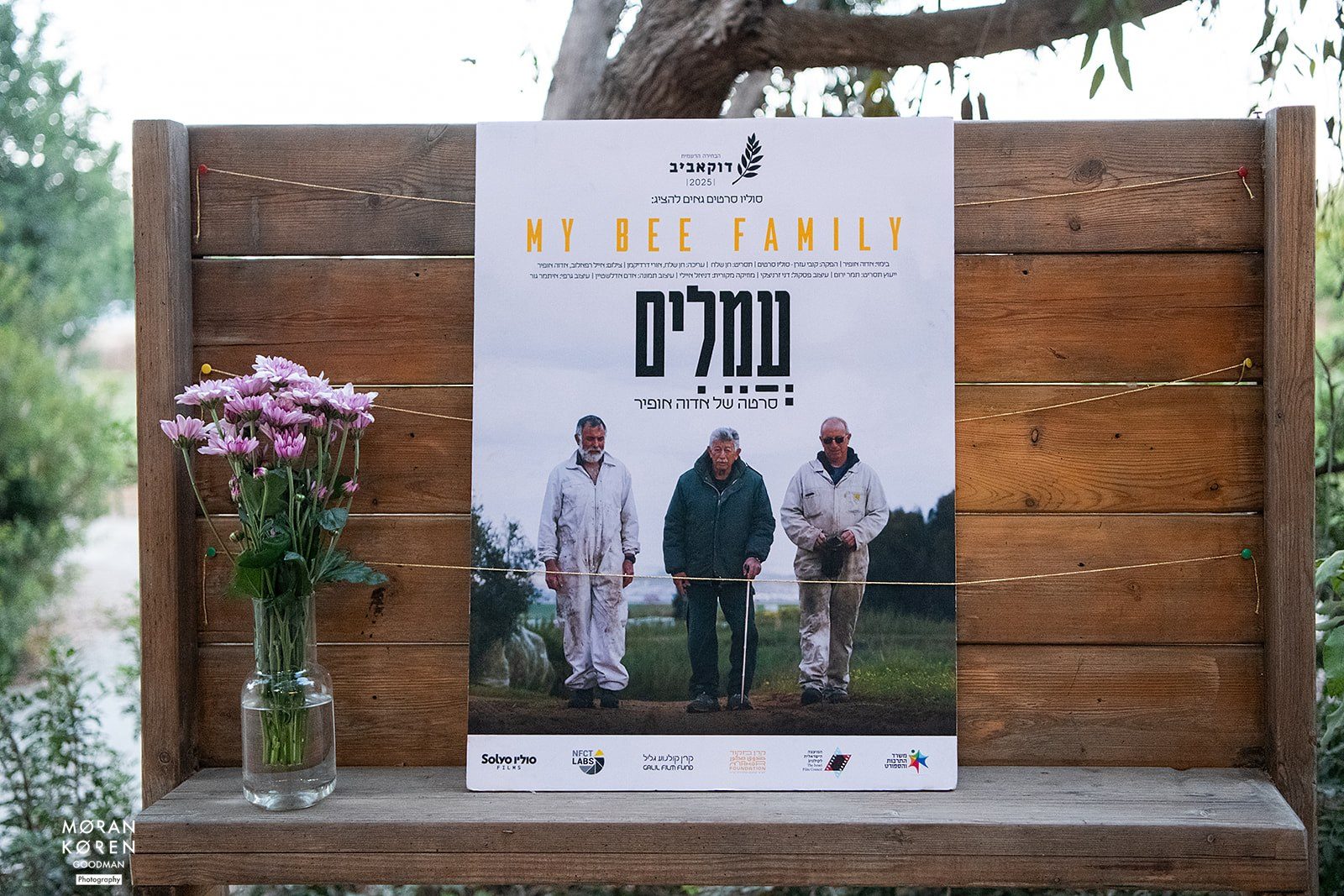 קולנוע בין הכרמים — תמונה 11